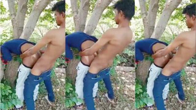 Cousin Sister Cam Sex – Tree Viral Xxx